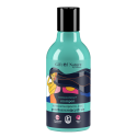 GIFT OF NATURE NORMALIZING SHAMPOO FOR OILY HAIR